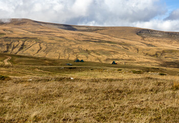 Obraz premium Autumn walks in the autumn park in the morning in the alpine area of the mountain range