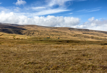 Autumn walks in the autumn park in the morning in the alpine area of the mountain range