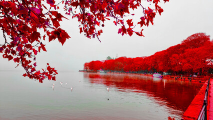 ioannina in autumn season greece