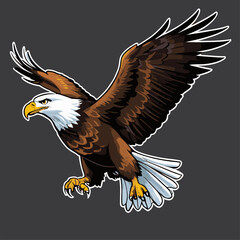 cute vector image of a majestic eagle
