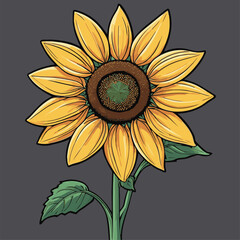 vector image of a graceful sunflower
