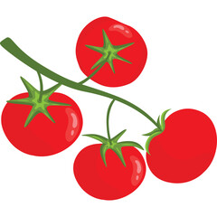 Vibrant Red Tomatoes Growing on a Green Vine Against a Transparent Background in a Healthy Food Concept