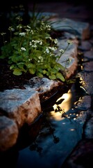 Obraz premium rain falling on blooming garden creating soft reflections on cobblestone walkway
