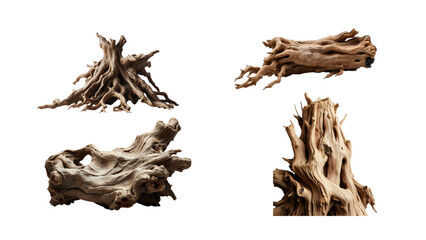 illustration of wild tree trunks and roots with high artistic value