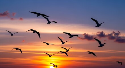 Fototapeta premium birds flying on sunset