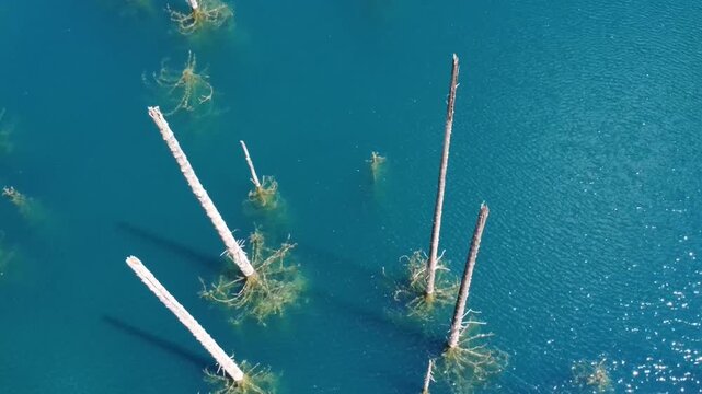 Aerial View of Kaindy Lake Sunken Forest in Kazakhstan