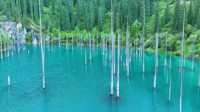 Front View of Kaindy Lake Sunken Forest in Kazakhstan