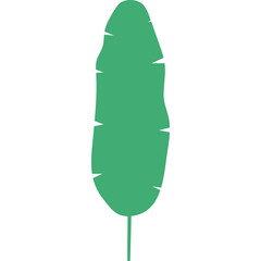 A Flat Green Stylized Banana Leaf Shape Isolated On A White Background With A Thin Stem