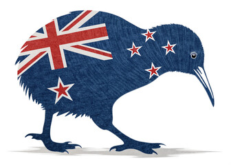 kiwi bird made by Newzealand flag isolated on white background 2