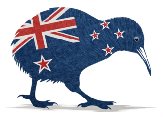 kiwi bird made by Newzealand flag isolated on white background 2