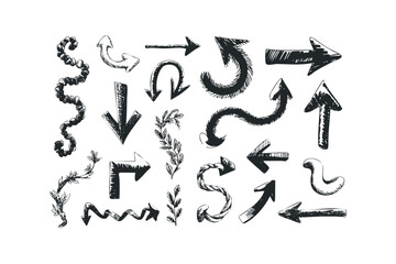Collection of Hand Drawn Arrow and Botanical Elements