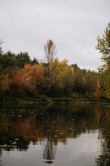 Tranquil autumn landscape with trees in golden foliage