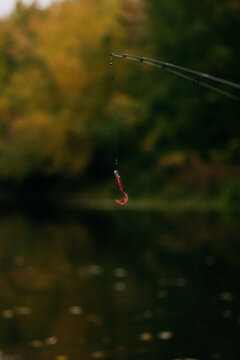 Fishing hook and bait above calm autumn river