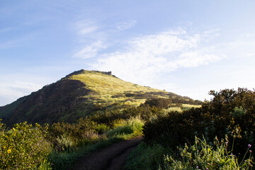 Grassy mountain peak with winding trail under clear blue sky