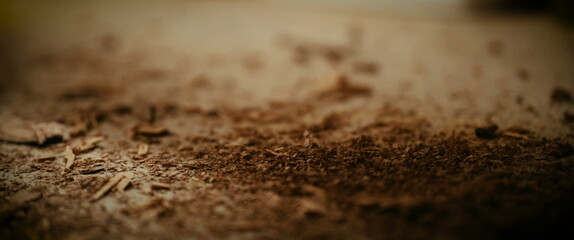 Fine wood shavings and sawdust scattered across a light brown surface