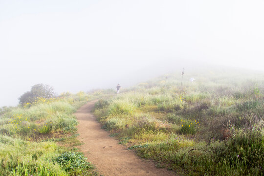 Man hiking on foggy hillside trail with spring wildflowers