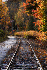 Obraz premium Railroad tracks surrounded by trees in autumn