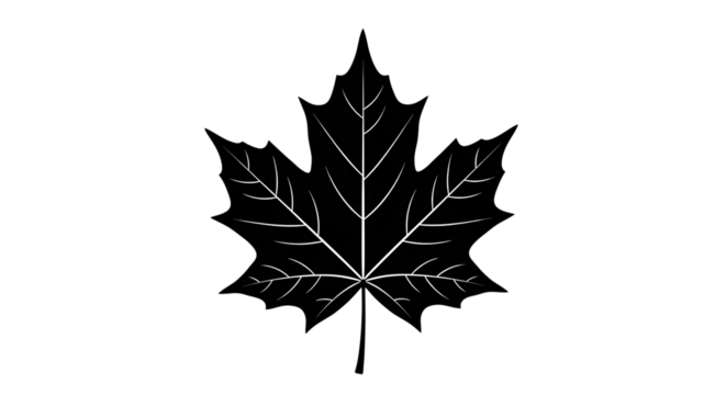 Black maple leaf isolated on transparent background