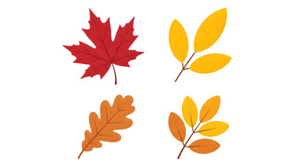 Collection of four autumn leaves in different shapes and colors, isolated on transparent background