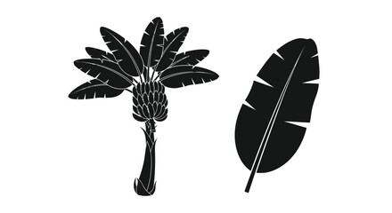 Black and white illustration of tropical banana leaves and a single feather © Taylor