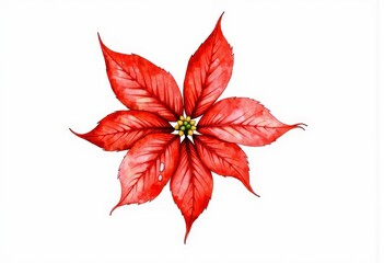 Vibrant botanical illustration of a red flower with symmetrical petals showcasing intricate veins and a cluster of small yellow center on a pristine white background