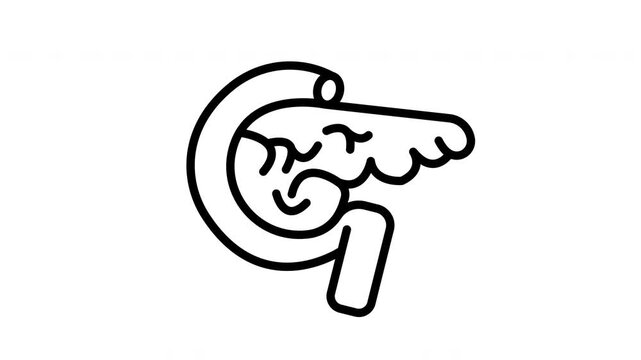 Animated Pancreas Organ Illustration