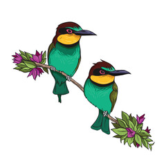 Two Colorful European Bee-Eater Birds on a Flowering Branch Illustration