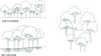 Create Architectural Drawings, Minimal style cad tree line drawing, Side view, plan and section forest outline symbol for landscape design drawing. Vector illustration in stroke fill in color.
