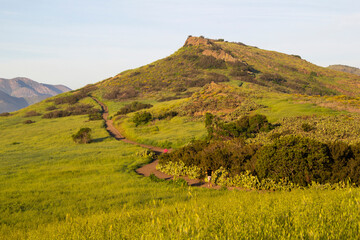 Hikers on winding trail through sunlit green hills and rocky terrain