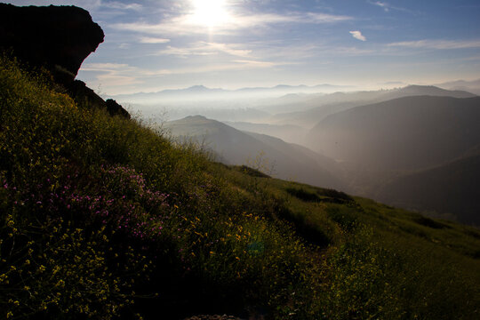 Sunrise over misty mountain valley with wildflowers in foreground