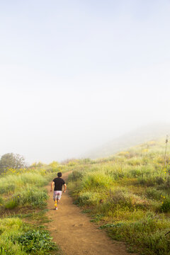 Man jogging uphill through foggy wildflower trail in spring