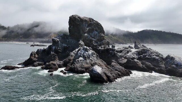 Sea Lion Rock Indian Beach Pacific Ocean
