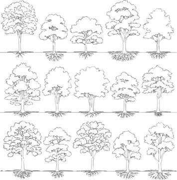 Create Architectural Drawings, Minimal style cad tree line drawing, Side view, set of section wetland forest outline for landscape design drawing. Vector illustration in separate element.