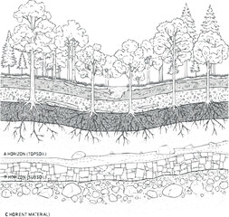 Fototapeta premium Create forest section, soil layer landscape drawing pattern. texture interior background line art. set of graphics elements drawing for architecture and landscape design. cad pattern on white