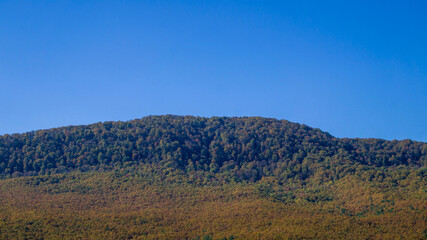 Autumn green hill and blue sky