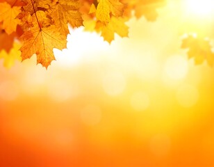 Fototapeta premium Autumnal Equinox - A Symphony of Golden Maple Leaves in Sunlight.