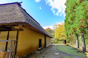 秋　みちのく湖畔公園　紅葉とコキアと古民家
