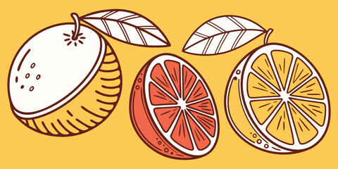 Juicy Orange Vector Set – Citrus Fruit Icons