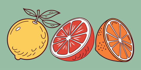Juicy Orange Vector Set – Citrus Fruit Icons
