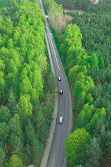 Traffic on road surrounded by forest trees
