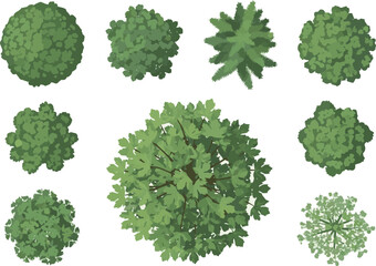 Need Vector tree top view isolated on white background for landscape plan and architecture layout drawing, elements for environment and garden