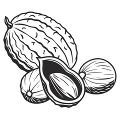 hand drawn vector illustration of ripe plums