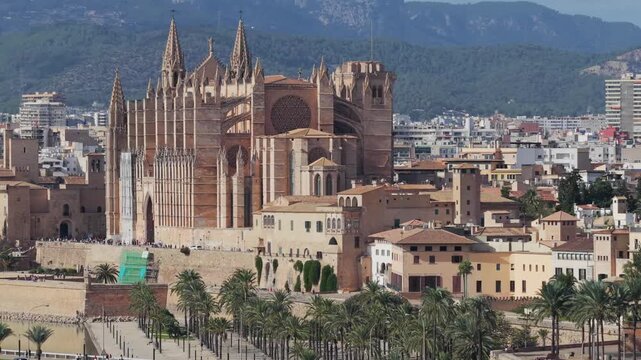 Aerial View of Palma de Mallorca Cathedral (La Seu) and Old Town on the Mediterranean Coast