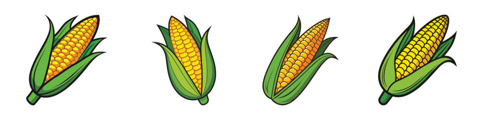Four ears of ripe yellow corn with green husks, isolated on a