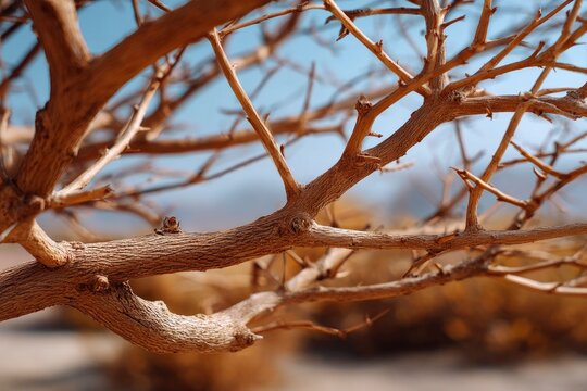 Closeup of bare tree branches against a blurred sky and ground - Powered by Adobe
