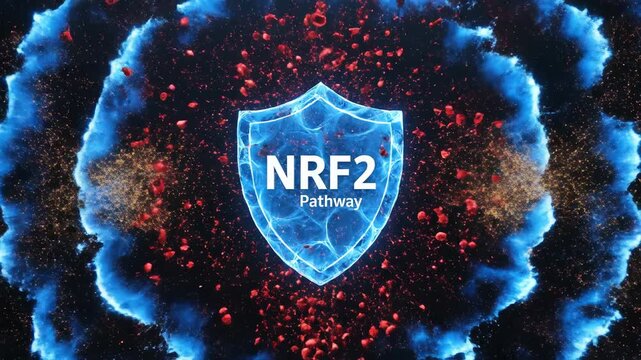 Abstract background of a blue NRF2 shield icon materializing and sending out protective shockwaves to neutralize incoming red particles.