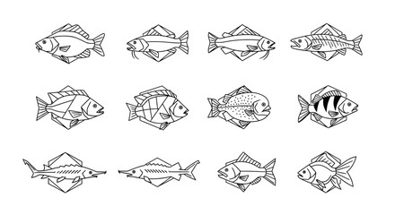 Twelve stylized fish illustrations in a geometric, line-art style arranged in a grid pattern on a white background.