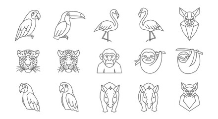 Outlined illustrations of various animals including birds, mammals, and primates.