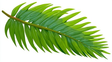 Obraz premium Isolated on a clean white background, a single fern frond with many leaflets showcases the delicate patterns and natural elegance of its vibrant green foliage