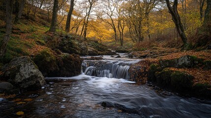 A tranquil forest scene featuring a gentle stream flowing through autumn foliage. The warm colors and peaceful environment invite relaxation and reflection. Generative AI
